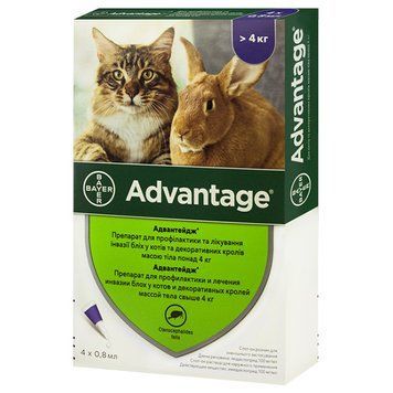 Advantage краплі на холку для котів від 4кг до 8 кг 1 піпетка 22012025 фото